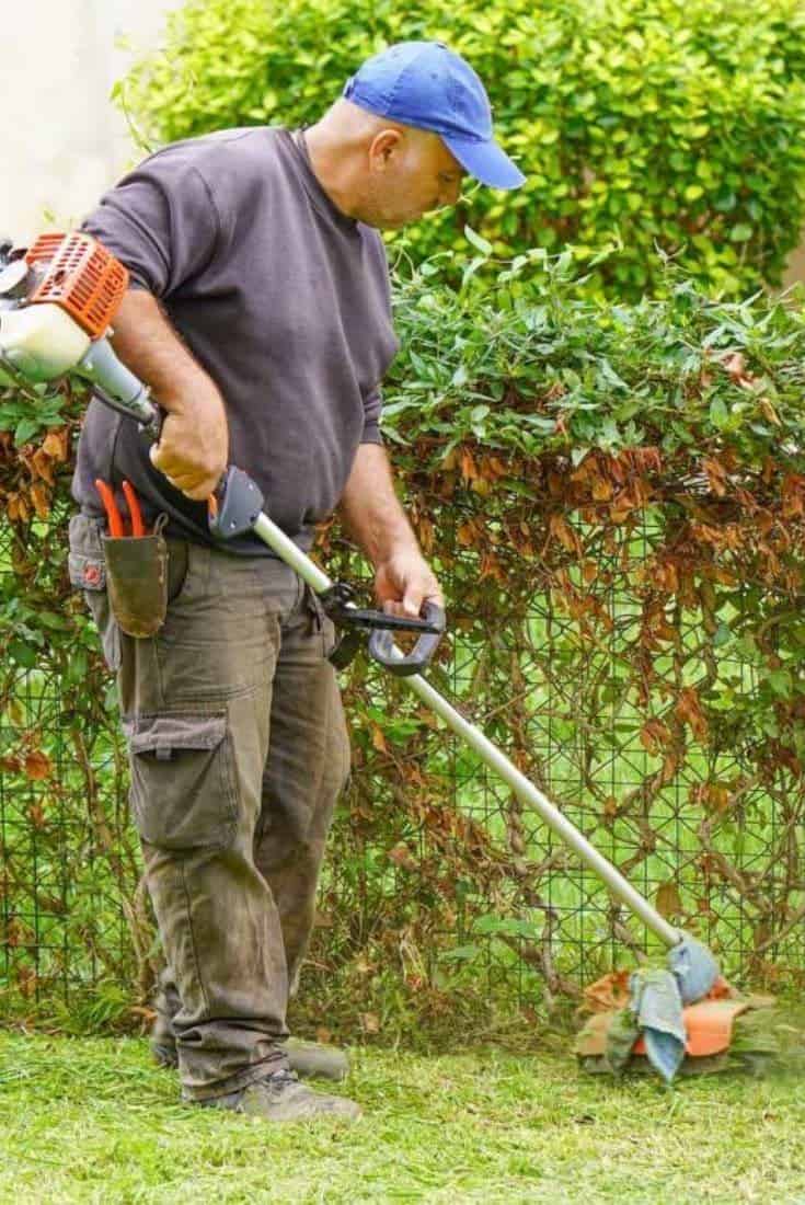 Do lawn trimmers and lawn edgers work the same way?