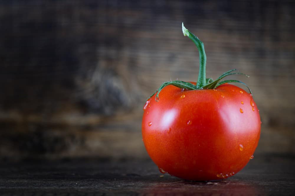 how to grow Champion tomatoes
