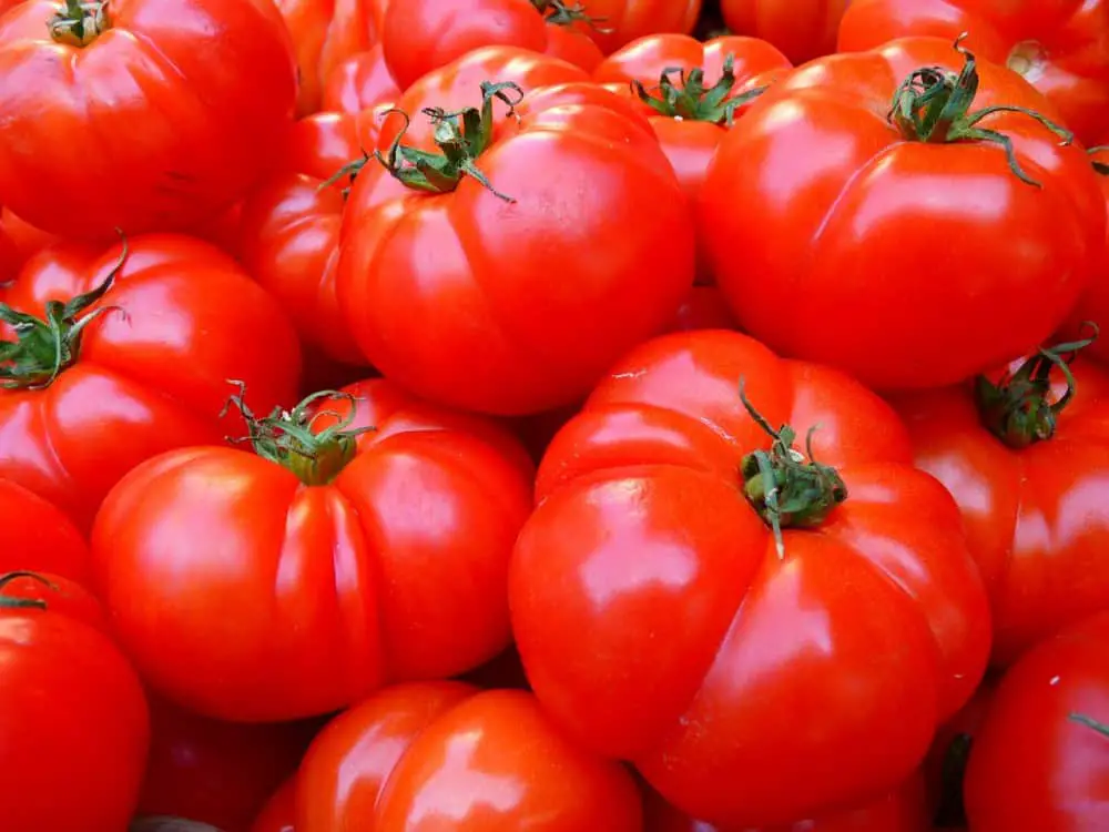 how to grow Italian Oxheart tomatoes