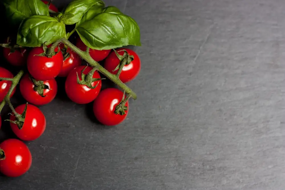 how to grow Pachino tomatoes