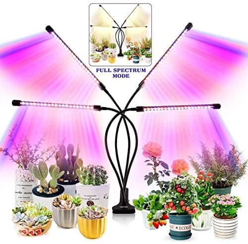 indoor growing lights for plants - How to Grow Tomatoes Indoors with Lights