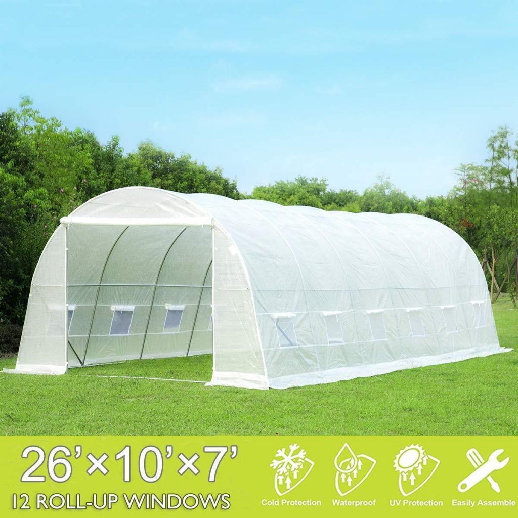 26' x 10' x 7' Permanent Polytunnel Greenhouse with 12 roll-up windows